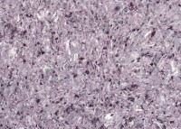 Жидкие обои Excelent Wall Vesta 2