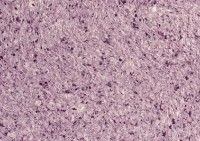 Жидкие обои Excelent Wall Vesta 3