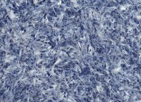 Жидкие обои Excelent Wall Vesta 7