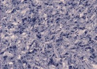 Жидкие обои Excelent Wall Vesta 8