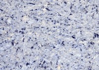 Жидкие обои Excelent Wall Vesta 9