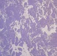 Краска Excelent Wall Barhan 1kg Pink