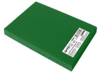 Coperta pentru legarea Spree A4 100pcs Green 72604