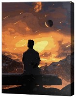 Картина по номерам Art Gallery Econom Звездопад GX42441