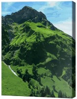 Картина по номерам Art Gallery Econom Зеленый склон GX46080