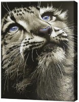 Tablou pe numere Art Gallery Econom Privirea atentă a pradatorului GX28703