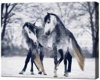 Картина по номерам Art Gallery Econom Серые кони GX39680
