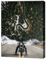 Картина по номерам Art Gallery Premium В дороге GX41169