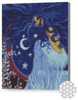 Алмазная картина по номерам Art Gallery Premium Владычица ночи XQB80897