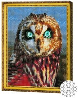 Алмазная картина по номерам Art Gallery Premium Голубоглазая сова GA82012