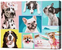 Tablou pe numere Art Gallery Premium Colaj de câini GX43119