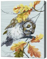 Tablou pe numere Art Gallery Premium Bufniță curioasă GX46548