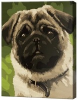 Картина по номерам Art Gallery Premium Милый мопс CX3704