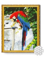 Алмазная картина по номерам Art Gallery Premium Прекрасный попугай GA82798