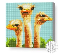Алмазная картина по номерам Art Gallery Premium Страусы BJ415