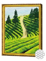 Алмазная картина по номерам Art Gallery Premium Чайная плантация GA79783