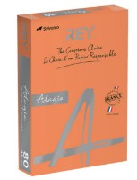 Бумага для печати Rey Adagio Orange 21 Intense (RYADA160X412)