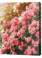 Картина по номерам Art Gallery Premium Розовый куст в цвету EX8505