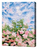 Картина по номерам Art Gallery Premium Розовый куст и небо EX8400