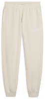 Женские спортивные штаны Puma Ess Script Sweatpants Tr Cl Alpine Snow, s.XS