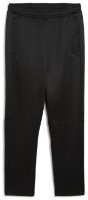 Мужские спортивные штаны Puma Ferrari Race Tonal Track Pants Puma Black, s.S