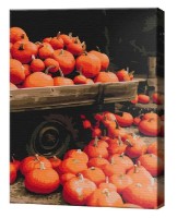 Tablou pe numere Brushme Peisaj de toamnă BS52369