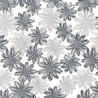 Обои Avangard 11165-01