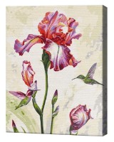 Tablou pe numere Brushme Утреннее свидание BS53924