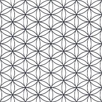 Tapete Parato Amazonia 22051