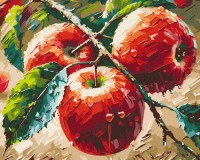 Картина по номерам Brushme Свежие яблоки (BS54166)