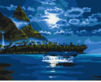 Tablou pe numere Brushme Noapte cu lună BS33220