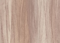 Обои Sirpi Altagamma Rainbow 22651