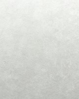 Обои Solo Decor SL8873-03 Air