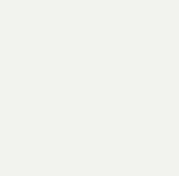 Обои Victoria Stenova 287012 Altai