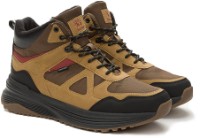 Ботинки мужские Crosby 448094/01-03 Brown, s.43