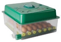 Инкубатор Des Champs ECO PROFI C-36