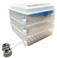 Инкубатор Demetra DM-176