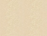 Tapete Parato Angelica 5373