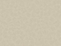 Tapete Parato Estetica 4352