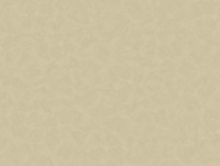 Tapete Parato Estetica 4354