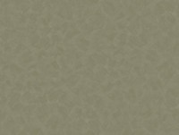 Tapete Parato Estetica 4355