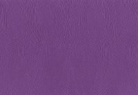 Обои Novamur Vive La France 4221-30 