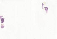 Обои Novamur Vive La France 4239-10