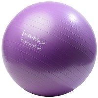 Mingea fitness HMS YB02 65cm Purple