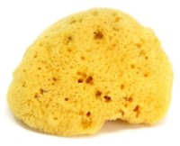 Губка для купания Ok Baby (38481400)