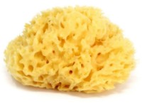 Губка для купания Ok Baby 12 (38471200)