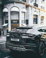 Картина по номерам Brushme Роскошная жизнь (BS52523FC)