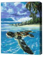 Tablou pe numere Brushme Țestoasa tropicală (BS51422FC)