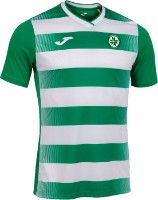 Мужская футболка Joma 102838.452 Green/White, s.L