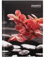 Тетрадь Axent A5 Red & Black Flower 96p (8457-7-A)